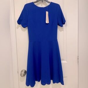 Aqua Bloomingdale's Exclusive Scalloped Royal Blue Fit & Flare Mini Dress Small